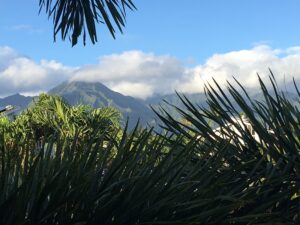 From Balcony in Kauai #1