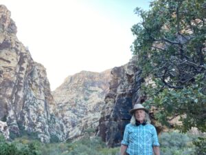 Ice Box Canyon in Red Rock Canyon, Nevada