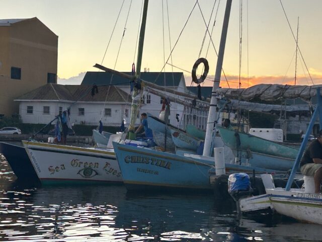 boats in harbor